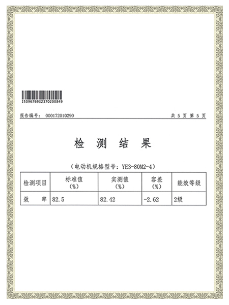 YE3-80M2-4报告-检测结果