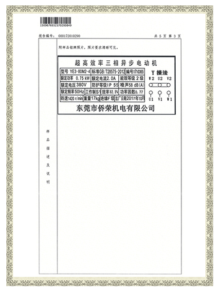 YE3-80M2-4报告-样品概述