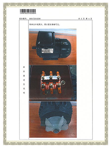 YE3-80M2-4报告-外观图片