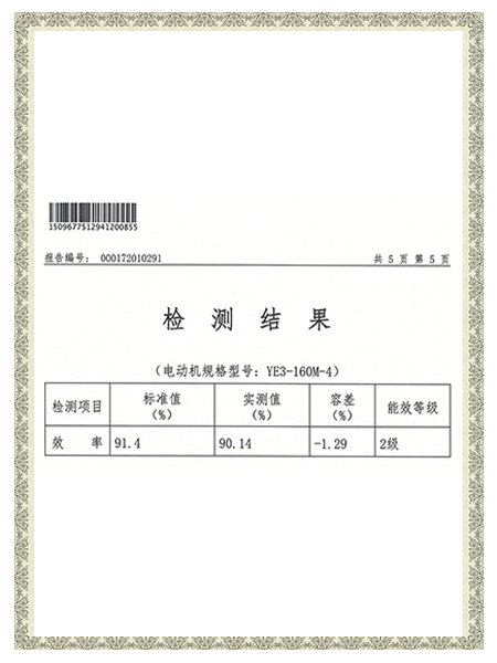 YE3-160M-4报告-检测结果