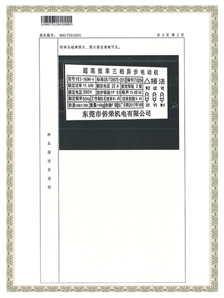 YE3-160M-4报告-样品概述